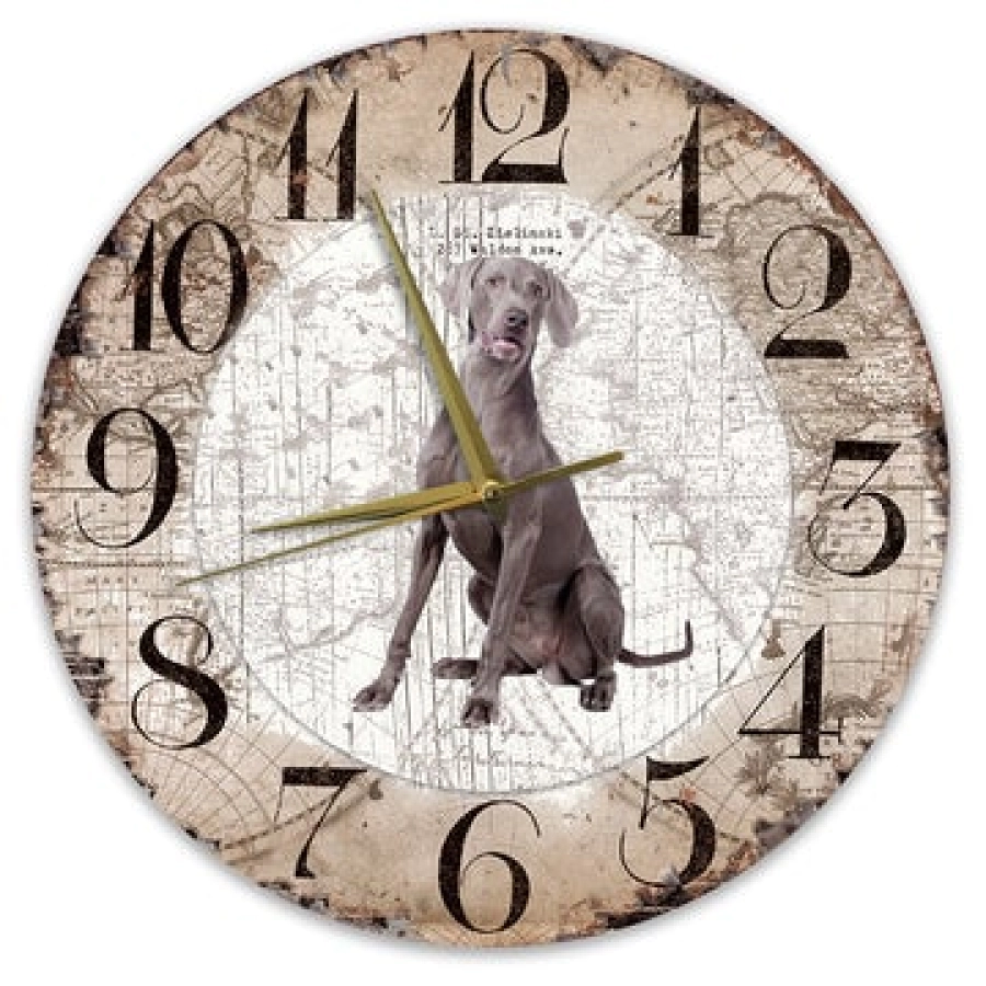 Klok met Weimaraner
