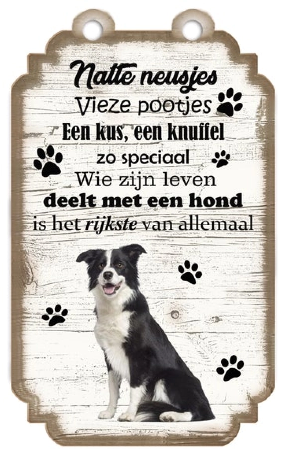 Spreukenbordje Border Collie