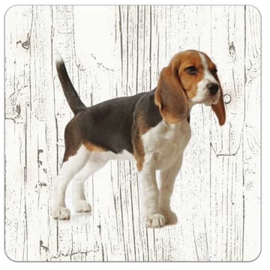 Houten onderzetters Beagle