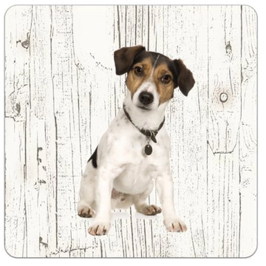 Houten onderzetters Jack Russel
