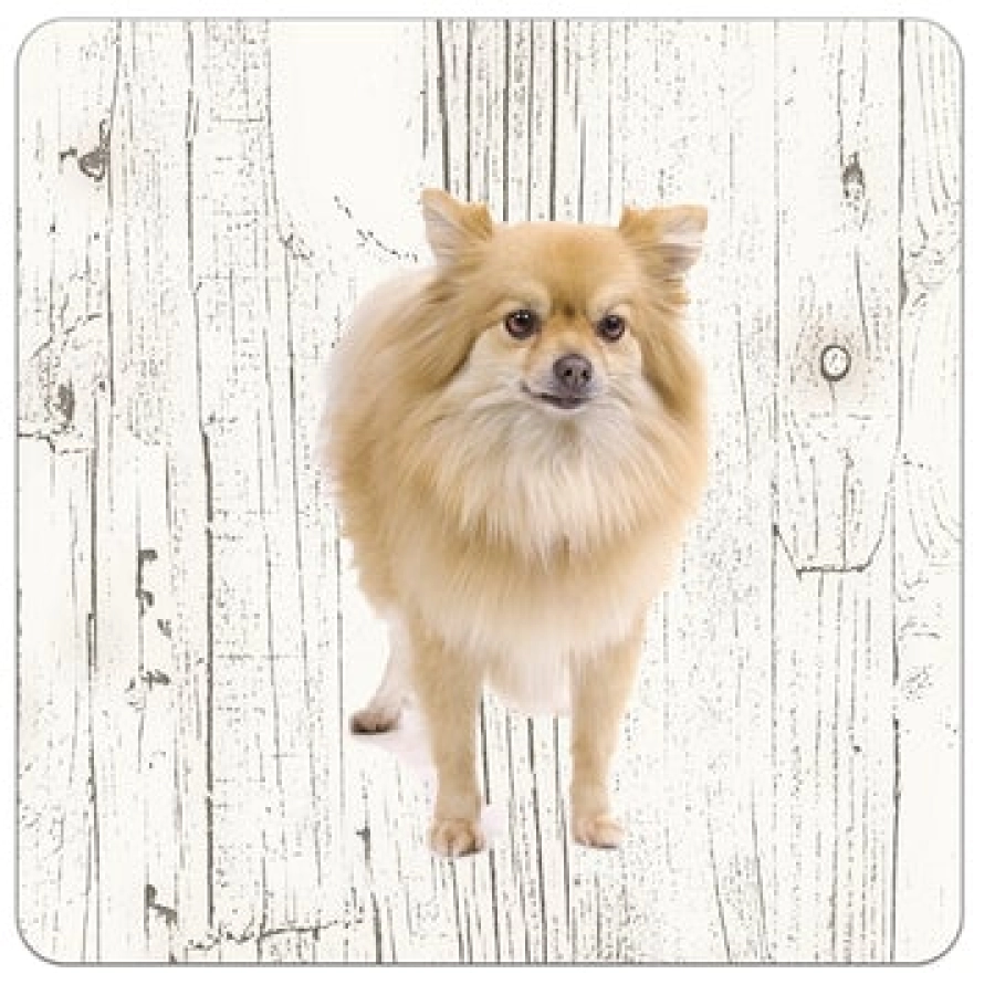 Houten onderzetters Keeshond