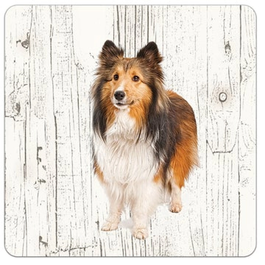 Houten onderzetters Schotse Collie