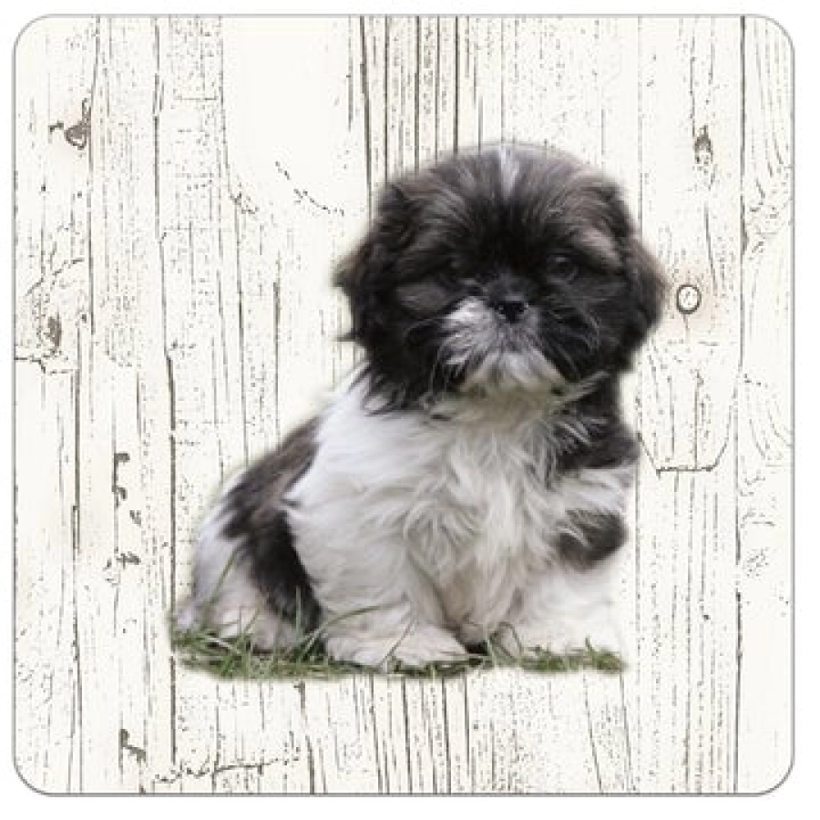 Houten onderzetters Shih Tzu